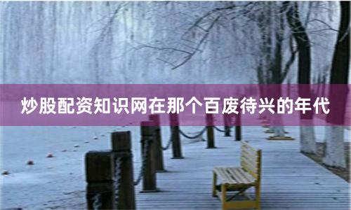 炒股配资知识网在那个百废待兴的年代